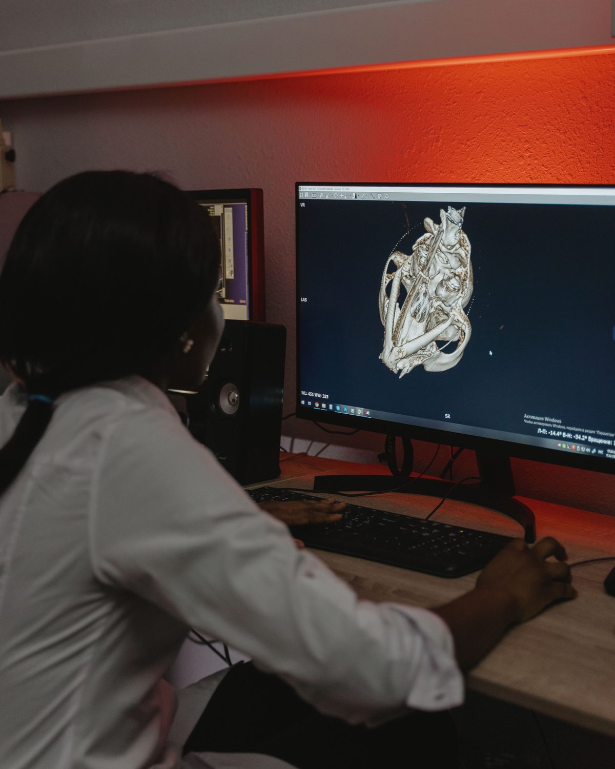 Woman studying an anatomical display on a digital screen